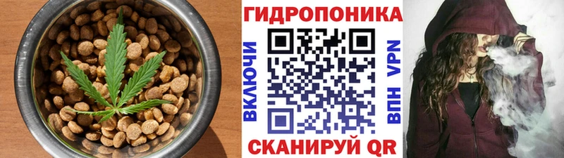 Canna-Cookies конопля  наркотики  Дальнереченск 