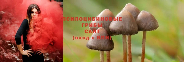ешки Осташков