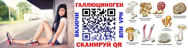 Псилоцибиновые грибы Cubensis  Дальнереченск 