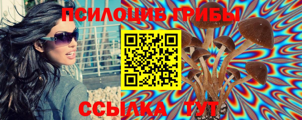 Дальнереченск  Галлюциногенные грибы MAGIC MUSHROOMS  Галлюциногенные грибы MAGIC MUSHROOMS  Вход с VPN 