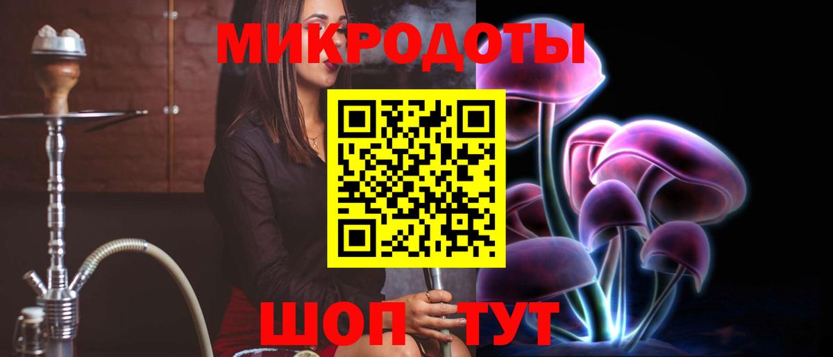 Псилоцибиновые грибы Cubensis Дальнереченск